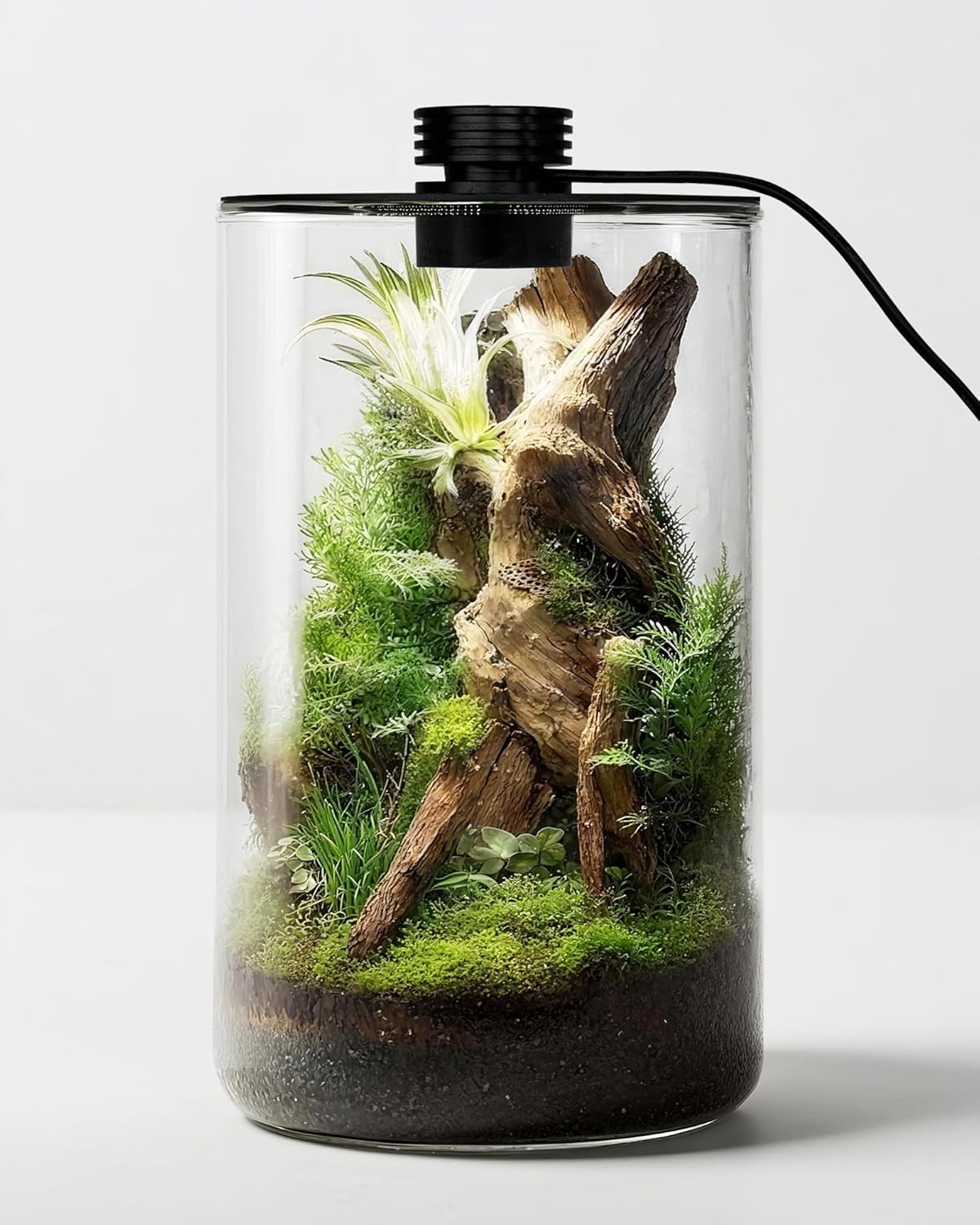 Indoor Glass Terrarium with Gr - Office Lighting Decor recension och pris