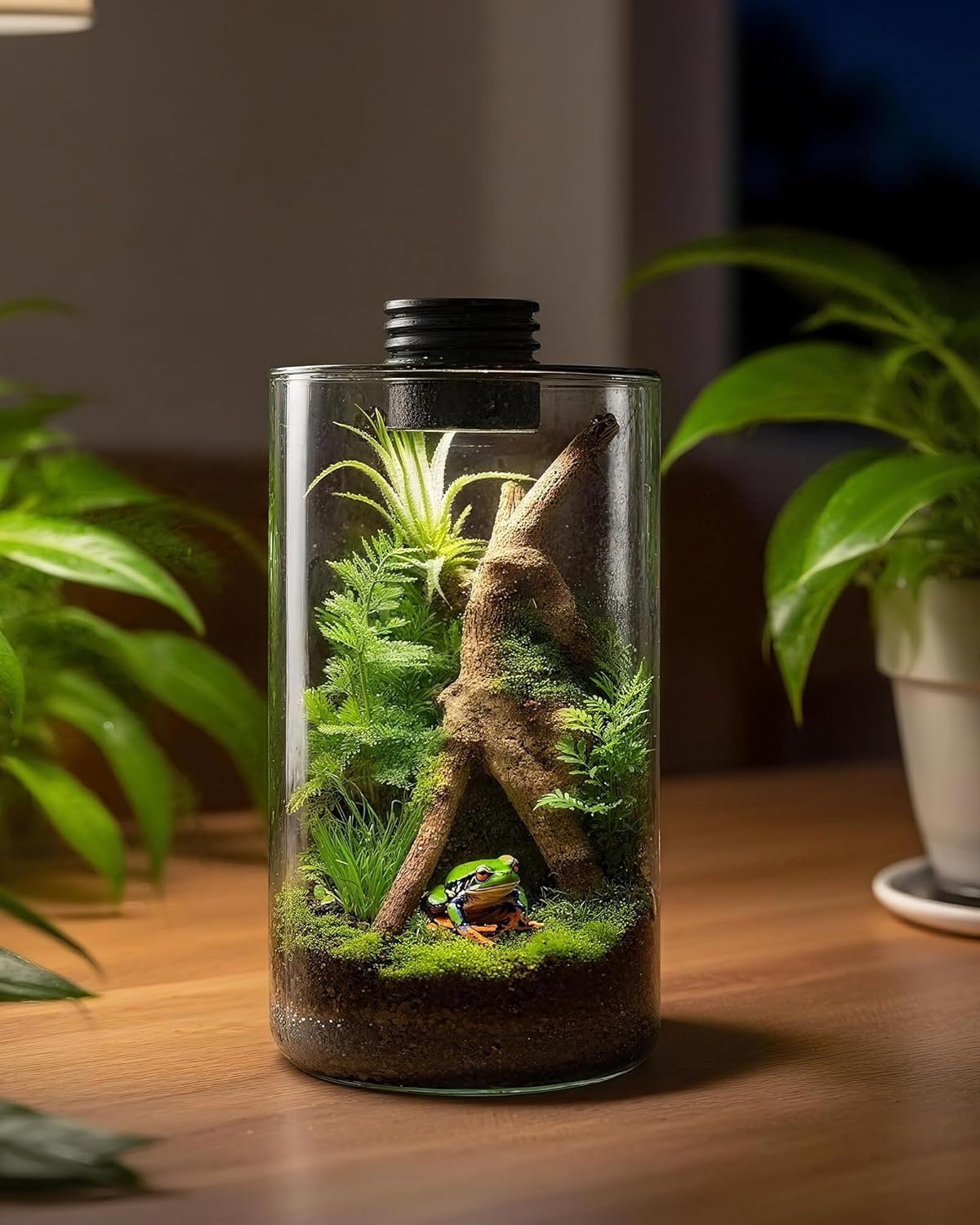 Indoor Glass Terrarium with Gr - Office Lighting Decor recension och pris