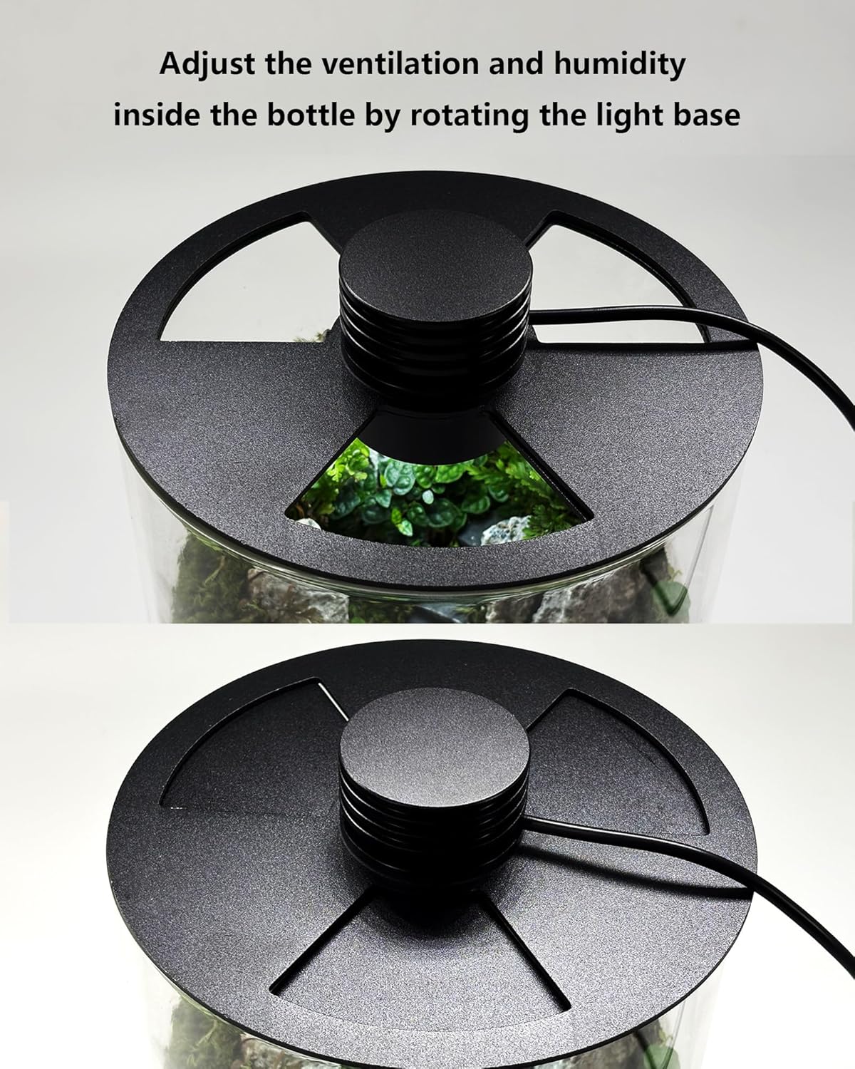 Indoor Glass Terrarium with Gr - Office Lighting Decor recension och pris